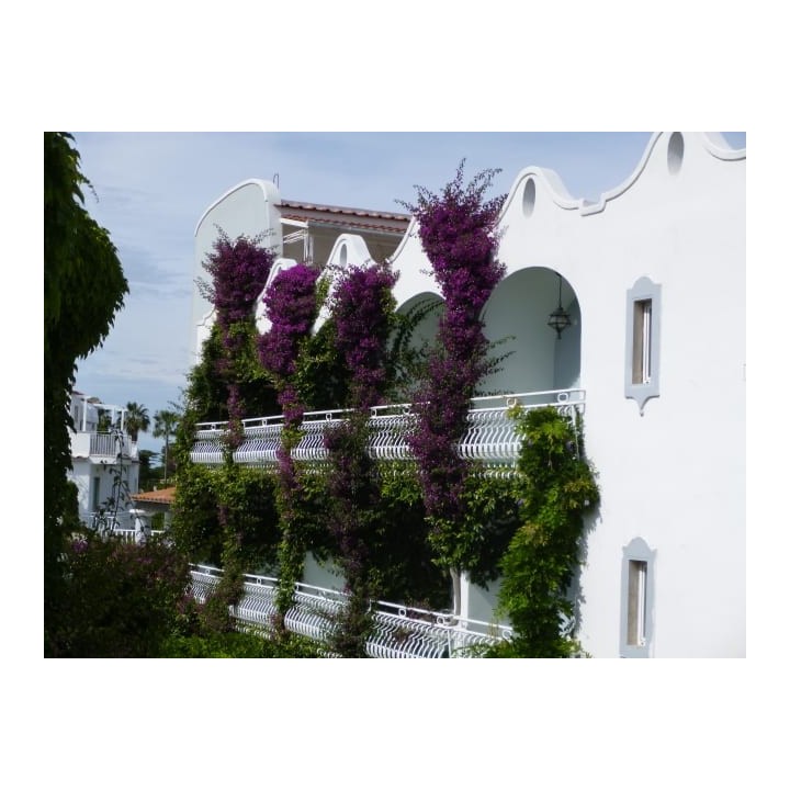 Hotel Continental Terme