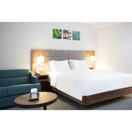Hilton Garden Inn Bucharest Old Town
