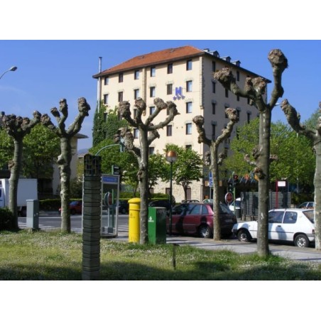 Hotel Zarauz