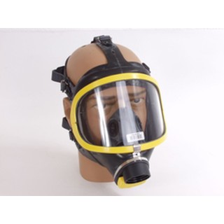 Dräger Schutzmaske Panorama Nova Standard RA Atemschutz neu
