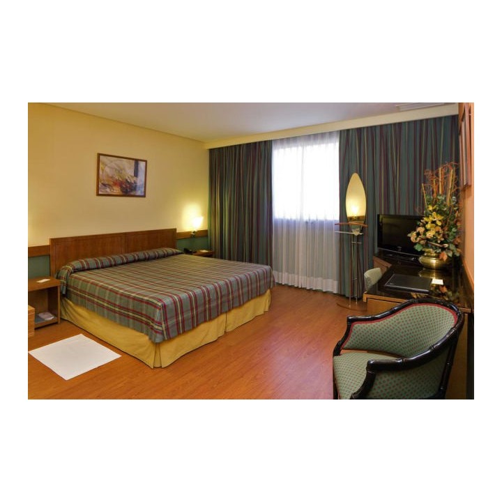Hotel Carlton Rioja