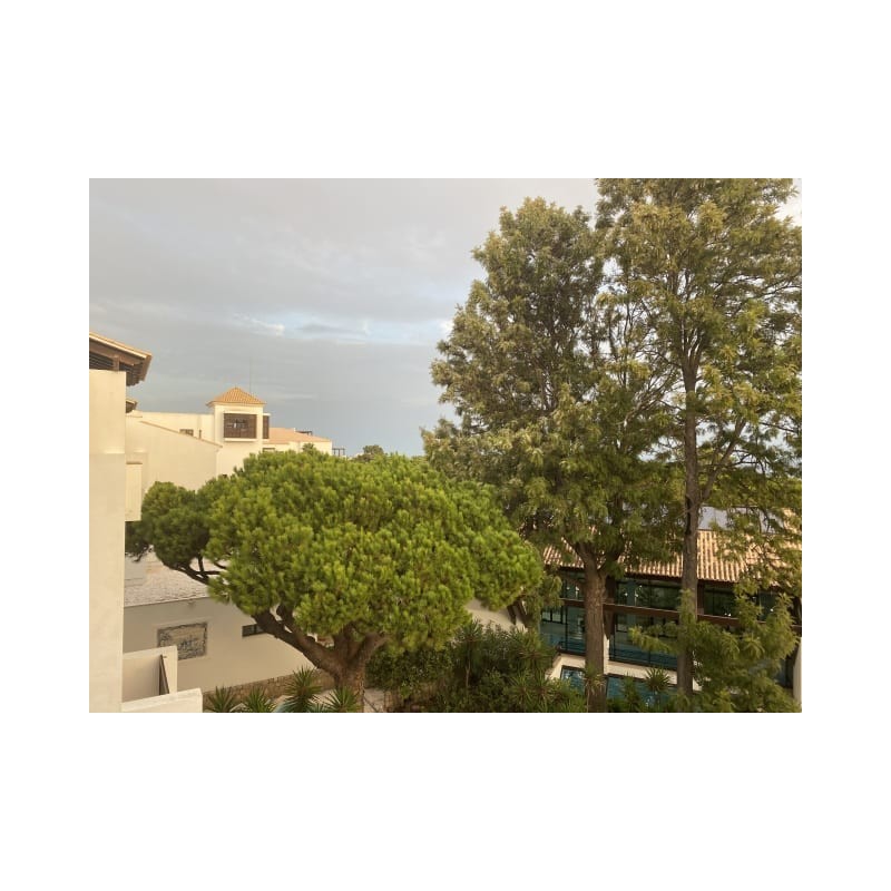 Pine Cliffs Resort