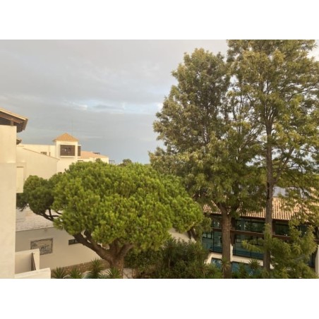 Pine Cliffs Resort