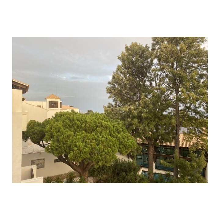 Pine Cliffs Resort