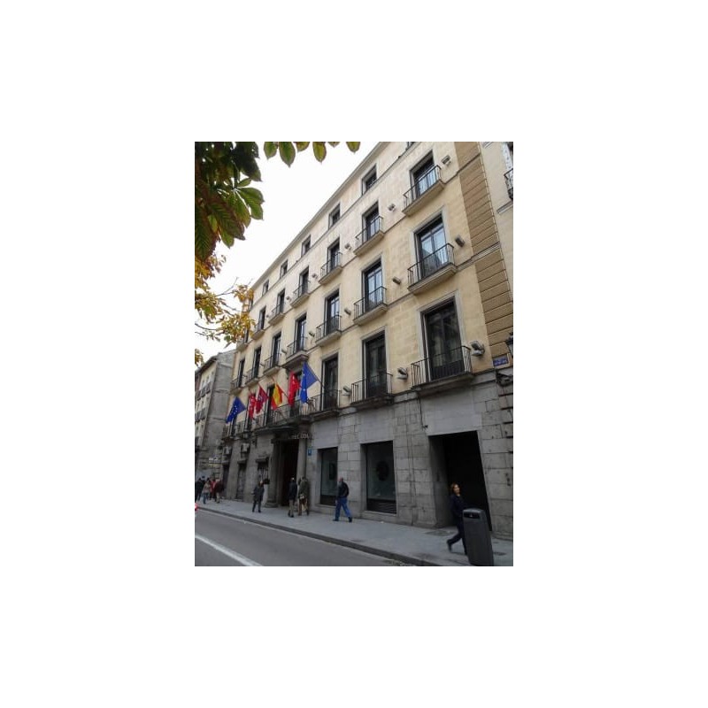 Hotel Catalonia Puerta del Sol