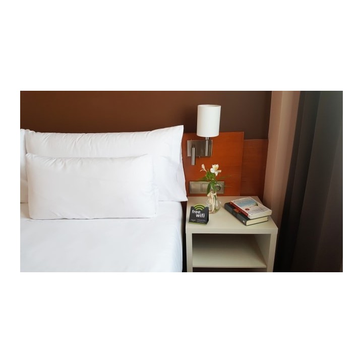Sercotel Alcalá 611