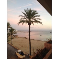 Hotel Portu Sale / Saler