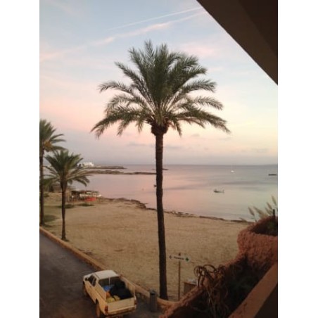 Hotel Portu Sale / Saler