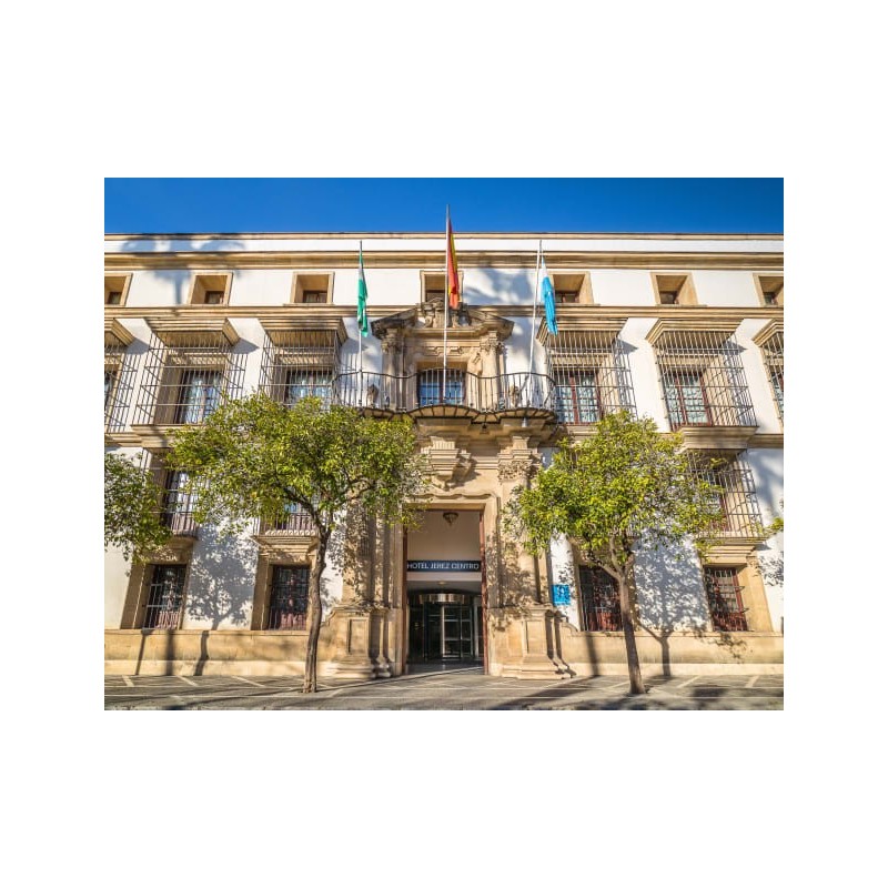 Hotel Jerez Centro