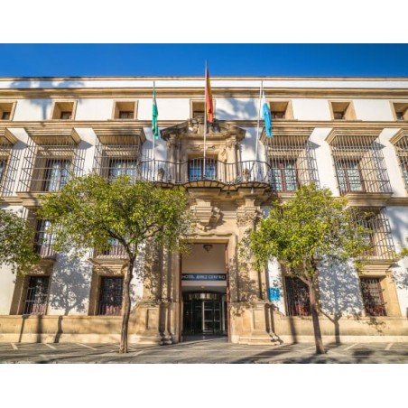 Hotel Jerez Centro