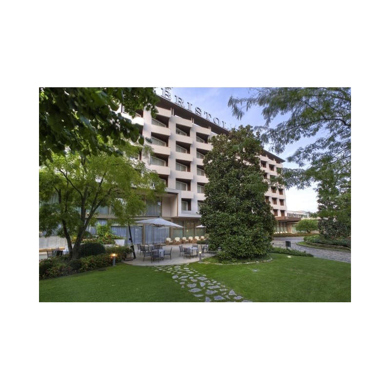 Hotel Bristol Buja