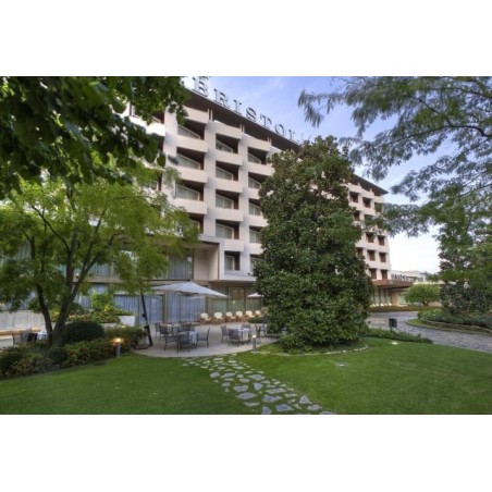 Hotel Bristol Buja