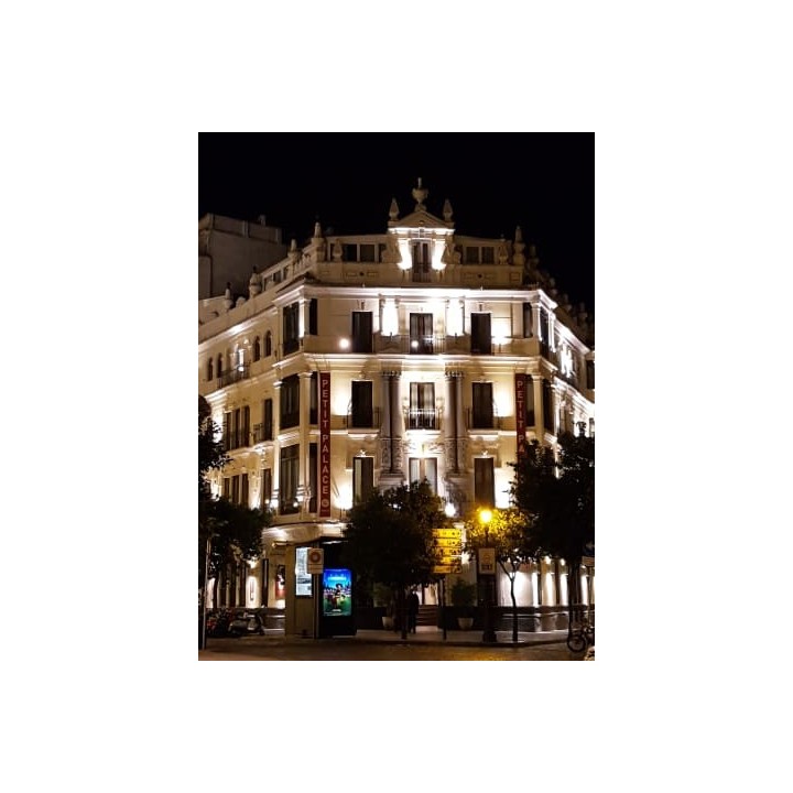 Hotel Petit Palace Canalejas