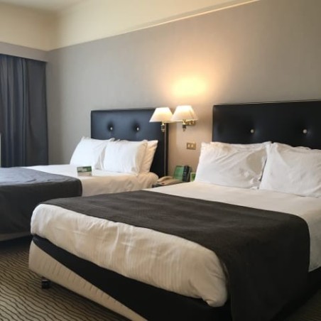 Hotel Holiday Inn Parco Dei Medici