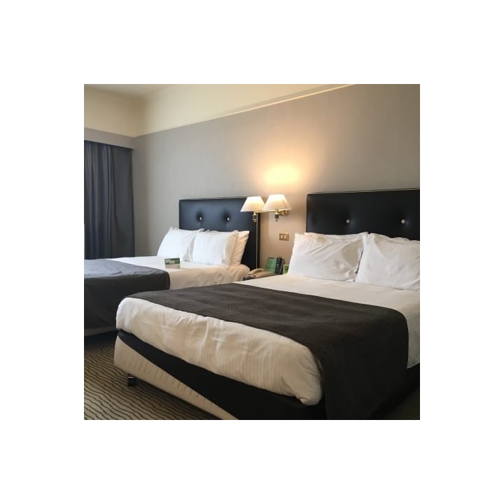 Hotel Holiday Inn Parco Dei Medici