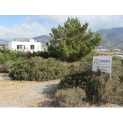 Apartments Panmar