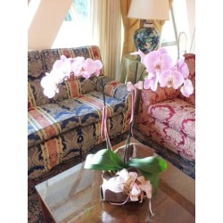 Hotel Torretta