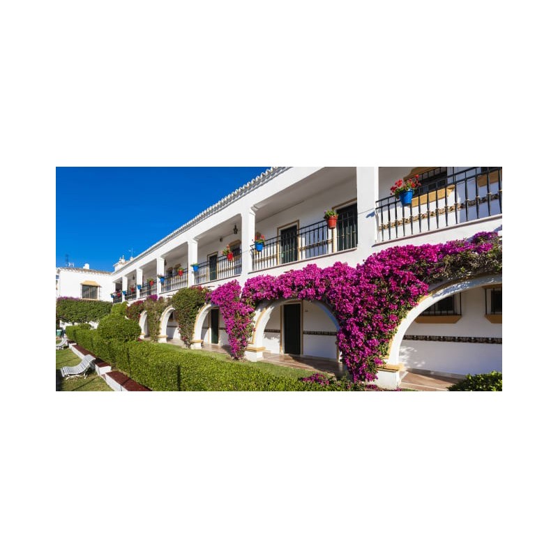 Globales Cortijo Blanco