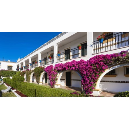 Globales Cortijo Blanco