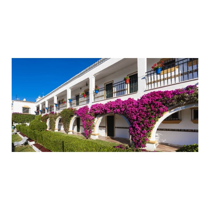 Globales Cortijo Blanco