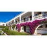 Globales Cortijo Blanco