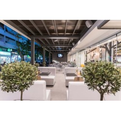 Hotel City Center