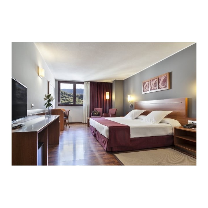 Acta Arthotel