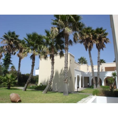 Andromeda Apartments Hotel