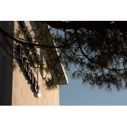 Harvey Suites