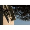 Harvey Suites