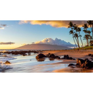 Kreuzfahrten Westküste USA & Hawaii: Rundreise von San Francisco bis Los Angeles & Kreuzfahrt mit der Emerald Princess ab/an