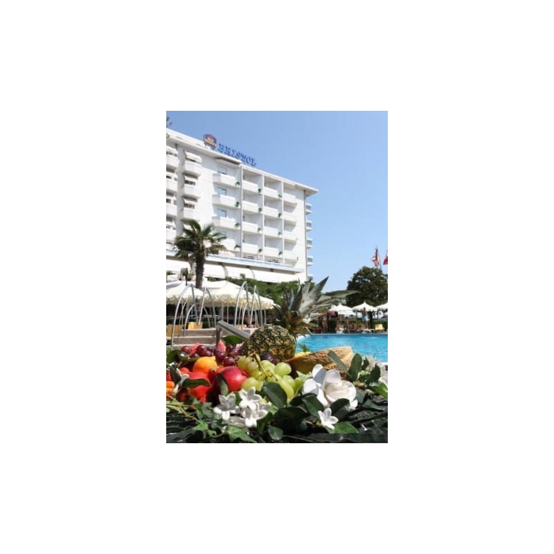 Hotel Bristol