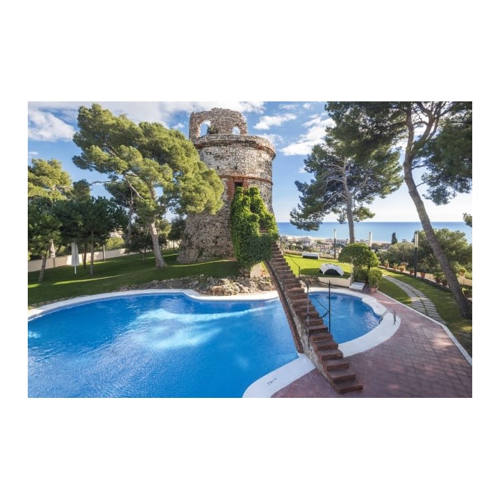 Hotel Gran Rey Don Jaime