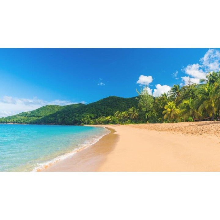 Kreuzfahrten Antillen & Südliche Karibik: Kreuzfahrt mit MSC Virtuosa ab/an Fort de France