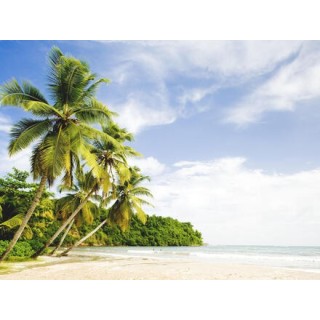 Kreuzfahrten Antillen & Südliche Karibik: Kreuzfahrt mit MSC Virtuosa ab/an Fort-de-France