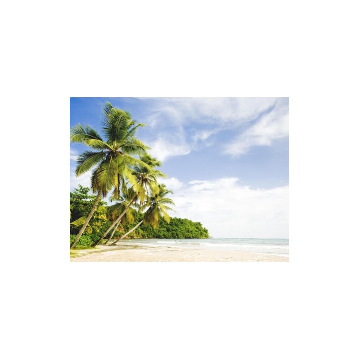 Kreuzfahrten Antillen & Südliche Karibik: Kreuzfahrt mit MSC Virtuosa ab/an Fort-de-France