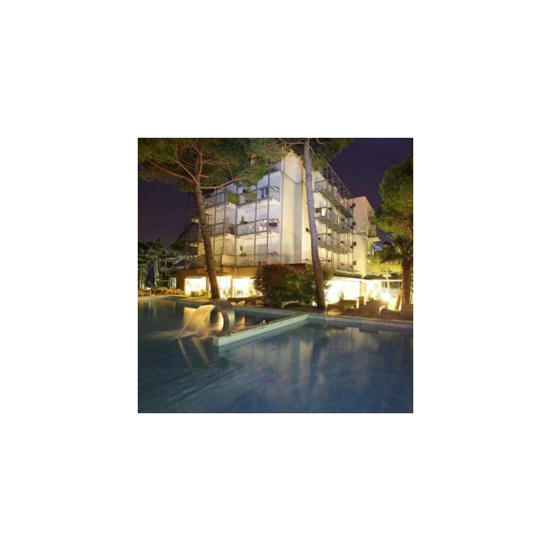 Hotel Martini