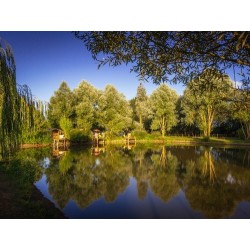 Camping de l'Etang