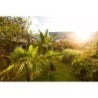 Carnac Lodge & Hotel