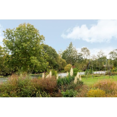 Domaine De La Courbe