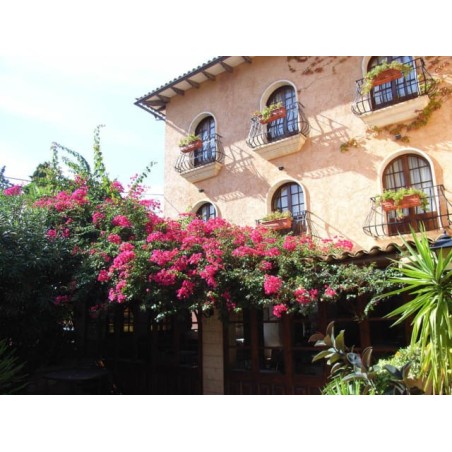 Hotel Ses Rotges