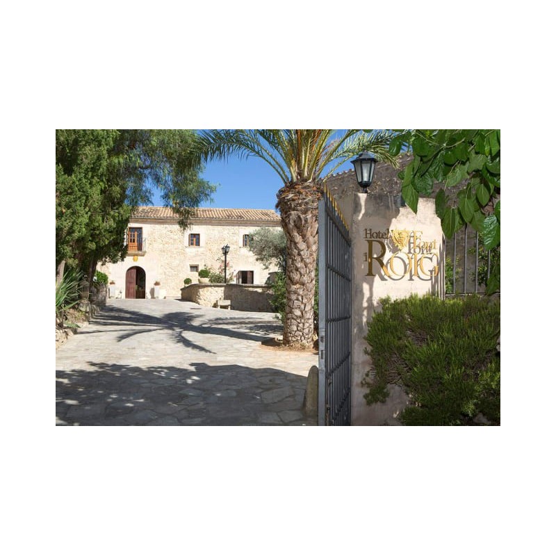 Hotel Font i Roig