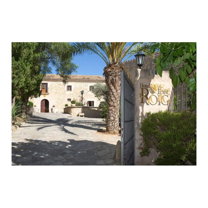 Hotel Font i Roig
