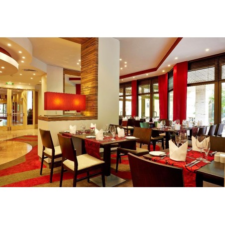 RAMADA Hotel Bad Soden