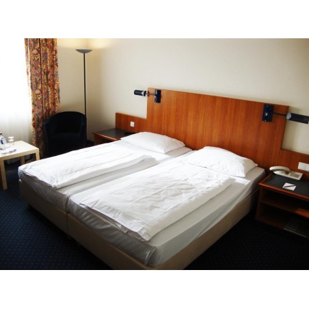 Arcadia Hanau Hotel