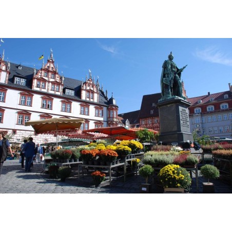 Best Western Blankenburg Hotel