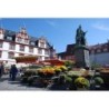 Best Western Blankenburg Hotel