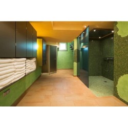 Best Western Plus Hotel Steinsgarten