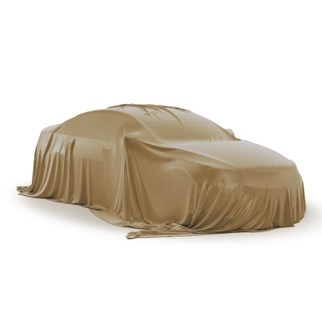 MYSTERY CAR
