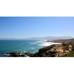 Sea Star Cliff